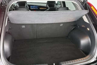 Kia Niro 1.6 GDi Hybrid DynamicPlusLine Elektrische Stoelen Leder Achteruitrijcamera / 10