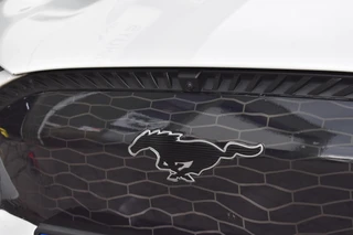 Ford Mustang Mach-E RWD 75 kWh | Pano | Leder | B&O| Winterpakket | / 41