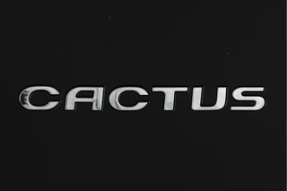 Citroën C4 Cactus 1.2 PureTech Shine 82 PK Org.NL  | Cruise | PDC | Camera | NAV | ECC | LM 16" | / 11