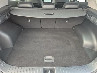 Kia Sportage 1.6 T-GDi Plug-in Hybrid AWD DynamicLine | Cruise Control | Climate Control | Camera | Navigatie | Stoelverwarming | Stuurverwarming | Elektrisch Verstelbare Bestuurdersstoel | / 21