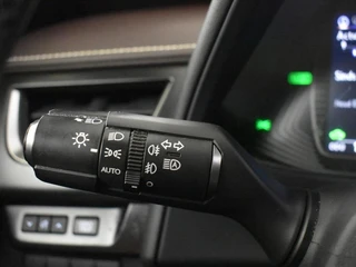 Lexus UX 250h First Edition | Elektr. a. klep | Trekhaak | PDC / 16
