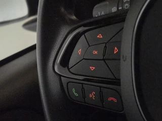 Fiat Panda 1.0 Hybrid Pandina / 19