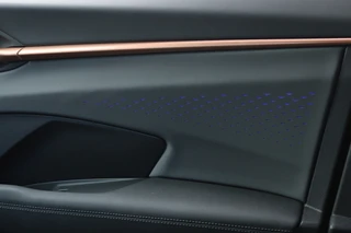CUPRA Terramar 1.5 TSI e-Hybrid Advanced  Matrix LED/Keyless/Camera/Sfeer/ACC/20"/Trekhaak wegkl. / 29