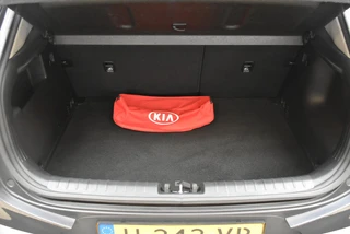 Kia Stonic 1.0 T-GDi 100pk DynamicPlusLine / 14