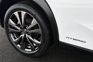Lexus UX 250h AWD F Sport Premium / 43