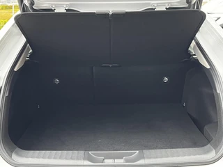 Toyota Prius 2.0 Plug-in Executive Skyview APPLE/ANDORID PANO AD-CRUISE STOELVERWARMING CLIMA NAVI PARK-SENSOREN / 29