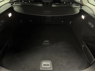 Renault Talisman Estate 1.6 TCe Intens NAVI TREKHAAK CAMERA CRUISE LM ECC. / 52