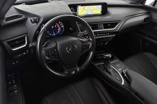 Lexus UX 250h AWD F Sport Premium / 6