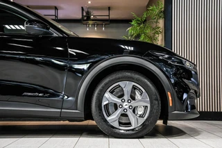 Ford Mustang Mach-E Extended RWD 98 kWh|Leder|Pano|360|B&O / 16