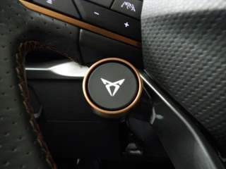 Cupra Formentor 1.4 e-Hybrid 245pk DSG-6 VZ Performance / 27