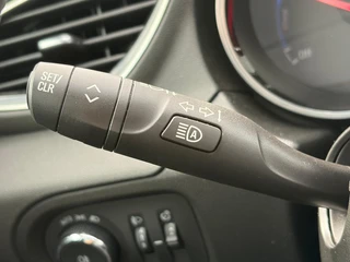 Opel Grandland X 1.6 Turbo Hybrid Business Edition / 18