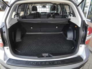 Subaru Forester 2.0 Luxury / 13