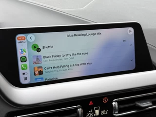 BMW 1 Series 116i Business Edition Zwarte grill | Apple Carplay | DAB+ | PDC V+A / 26