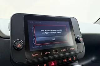 Fiat Panda 1.0 Hybrid Pandina / 23