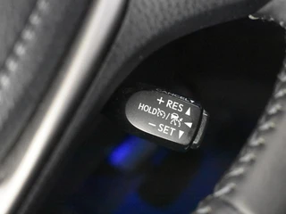 Toyota RAV4 2.5 Hybrid AWD Executive / 21
