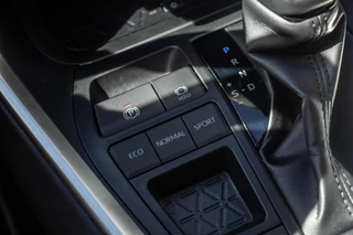 Toyota RAV4 2.5 Hybrid Style, Adaptive-Cruise, Carplay / 20