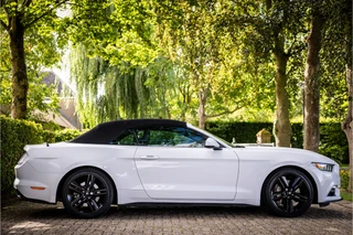 Ford Mustang Convertible 2.3 EcoBoost  Stoelventilatie Shaker Audio NL Auto / 14