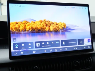 BYD DOLPHIN G 1.5L DM-i Boost / 27