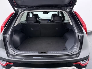 Kia Niro 1.6 GDi PHEV DynamicPlusLine  - Adaptive Cruise - Stoel/Stuurverwarming - Schuif/Kanteldak - Navigatie  - Apple Carplay/Android Auto Fabrieksgarantie 10-12-2032 of 150.000 km / 39