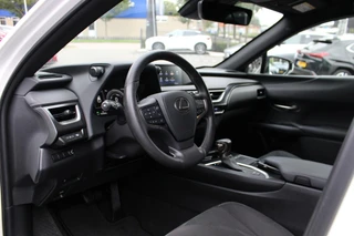 Lexus UX 250h Business Line Pro / 12