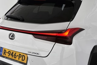 Lexus UX 250h AWD F Sport Premium / 23