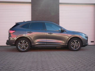 Ford Kuga 2.5 PHEV ST-Line X Camera| Navi+BT| Winterpack| ACC / 13