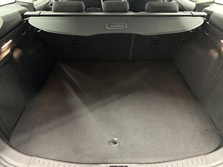 Ford Focus Wagon 1.0 EcoBoost Trend Edition CARPLAY NAVI CRUISE 58000 KM. / 36
