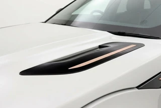 Land Rover Range Rover Evoque 1.5 P300e AWD R-Dynamic HSE Pano | Leder | Meridian Sound | 20" / 11