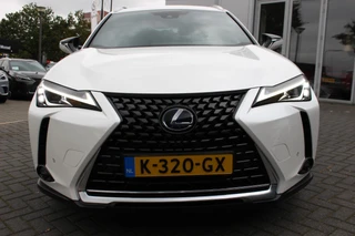 Lexus UX 250h Business Line Pro / 9
