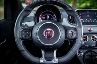 Fiat 500 1.0 Hybrid Cult Cabriolet  Mat Grijs Grigio Opaco / 9