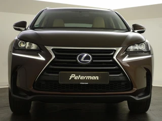Lexus NX 300h AWD 25th Edition / 9