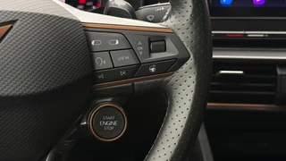 Cupra FORMENTOR | 295/999 | Taiga Grey | Carbon | 360° | Beats | Memory / 20
