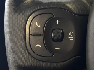 Fiat Panda 1.0 Hybrid Cross | Bluetooth | Hoge Instap | Dealeronderhouden / 14