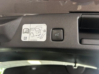 Ford Kuga 2.5 PHEV ST-Line X Geen import | Panoramadak | Voorruitverwarming / 18