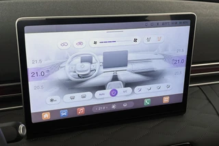 Dongfeng Box Premium Edition 42 kWh / Dongfeng Amsterdam / 26