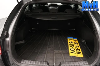 Kia ProCeed 1.5 T-GDi MHEV GT-Line Edition|160PK|PANO|LED|NAP / 17