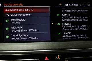 BMW X4 xDrive20i Business Edition Plus | PANORAMADAK | HEAD UP | HOUTAFWERKING | STUURVERWARMING | 19" / 55