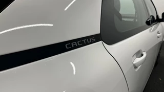 Citroen C4 Cactus 1.2 PureTech Feel CARPLAY CRUISE NAVIGATIE ECC. / 14