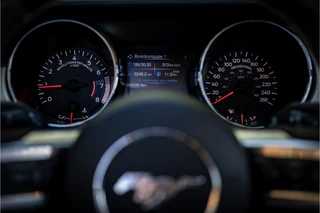 Ford Mustang Convertible 2.3 EcoBoost  Stoelventilatie Shaker Audio NL Auto / 21