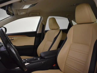 Lexus NX 300h AWD 25th Edition / 13