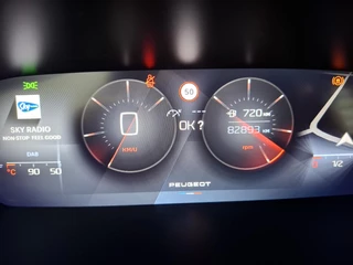 Peugeot 308 110 Active Pack Business Nav/Clima/LMV / 12