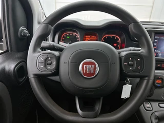 Fiat Panda 1.0 Hybrid Cross CARPLAY | CLIMA / 32