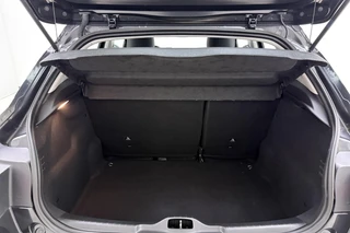 Citroën C4 Cactus 1.2 PureTech 110pk Feel / 10