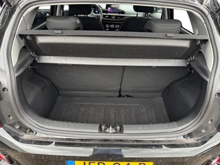 Kia Picanto 1.0 DPI DynamicPlusLine | Navigatie | LM-Velgen | Parkeercamera | Cruise control / 24