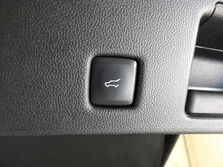 Ford Kuga 2.5 PHEV e-CVT 225pk Vignale / 16