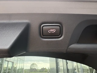 Kia ProCeed 1.5 T-GDi 160pk Automaat GT-PlusLine  SCHUIFDAK/JBL/CAMERA/DODEHOEK/AFN.TREKHAAK/18INCH / 27