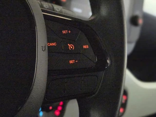 Fiat Panda 1.0 Hybrid Pandina / 21