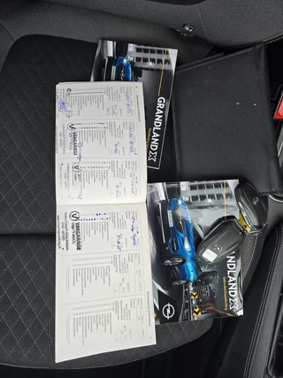 Opel Grandland X 1.2 Turbo Business Executive / 28