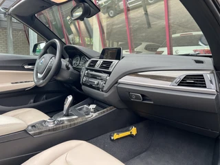 BMW 2 Serie Cabrio 220i  | NL auto | 2e eigenaar | PDC | Navi | Leder | Stoelverw. | / 31