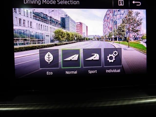 Škoda Kamiq 1.0 TSI Greentech 110pk DSG-7 Monte Carlo / 38